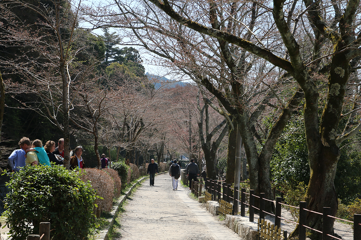 Kyoto et ses trésors